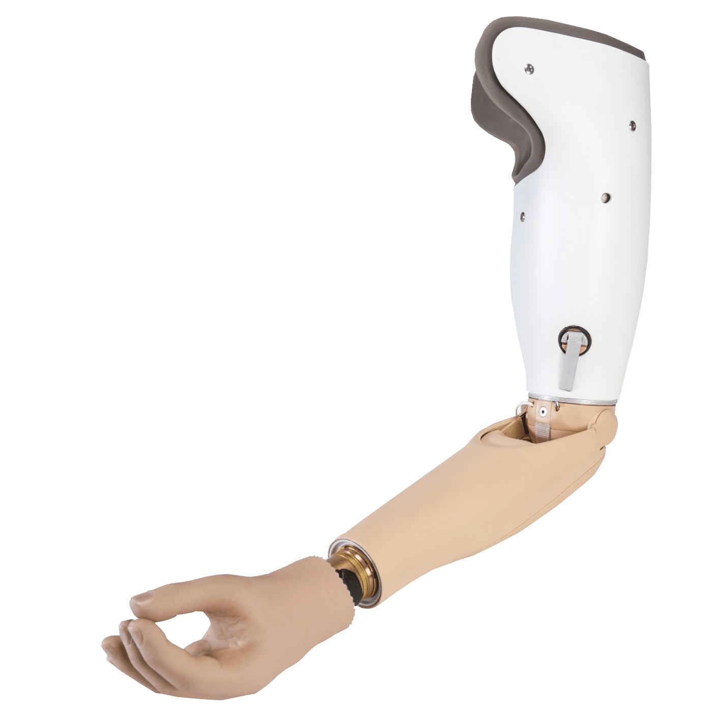 a. Above: Realistic prosthetic limb for upper limb loss made of